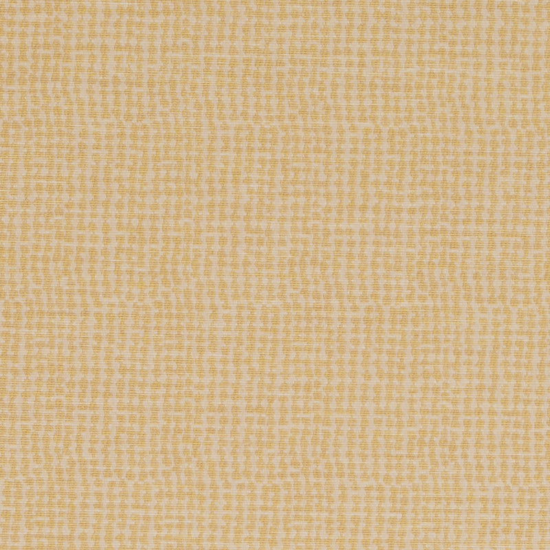 DN16336 | 610-BUTTERCUP