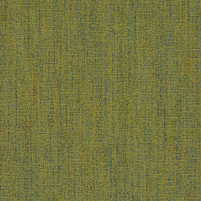 DN16333 | 354-BASIL