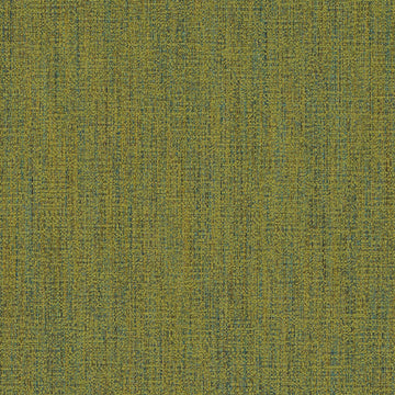 DN16333 | 354-BASIL