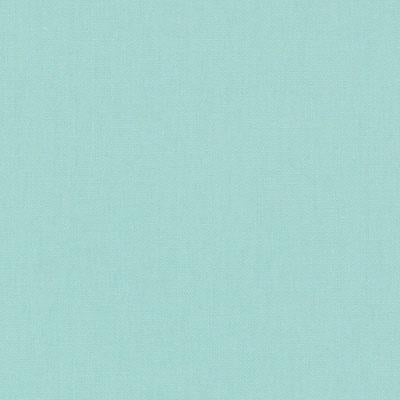 DK61731 | 691-ROBIN'S EGG - Upholstery - Fabric