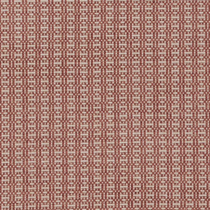 Bu16316 | 17-Rose