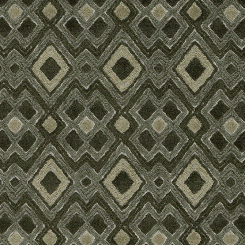 BV16310 | 257-MOSS