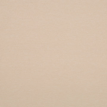 SOLID AVENUE | FLAX