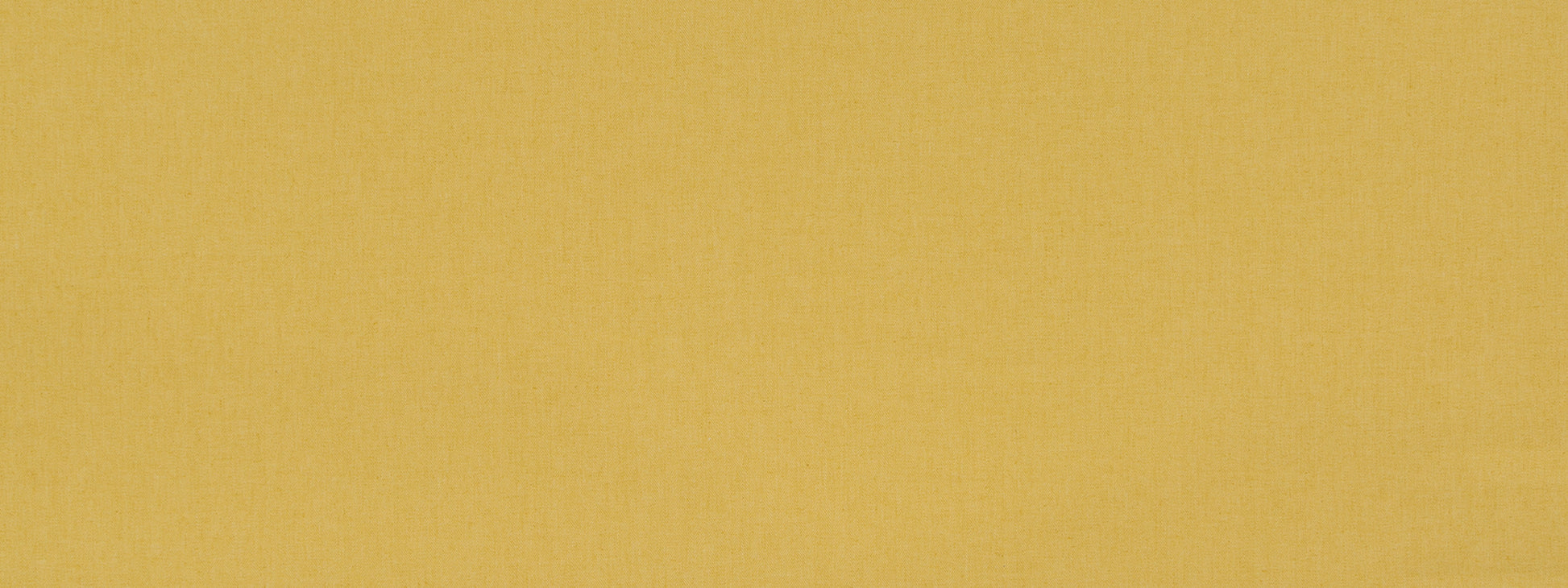 BOSPORUS | DAFFODIL