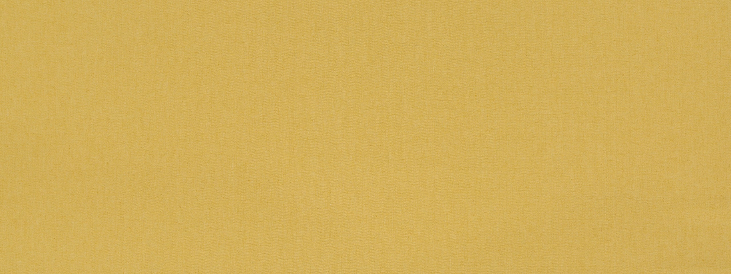BOSPORUS | DAFFODIL