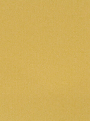 BOSPORUS | DAFFODIL