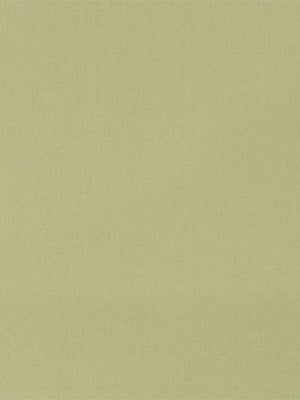 BOSPORUS | CELERY