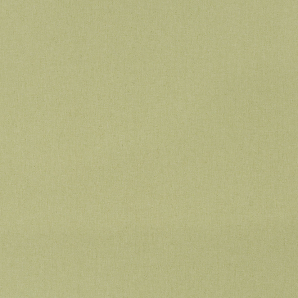 BOSPORUS | CELERY