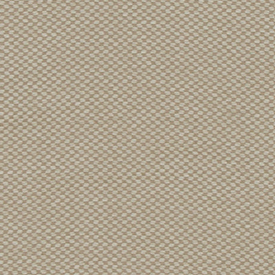 DU16347 | 434-JUTE