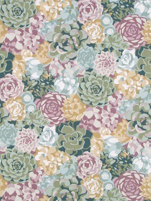 SUCCULENTS | ALOE - Print - Fabric