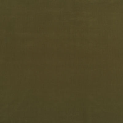 DV16352 | 22-OLIVE