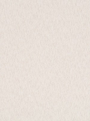 Cebu | Champagne - Drapery - Fabric