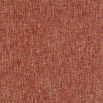 PAYETTE | CASSIS