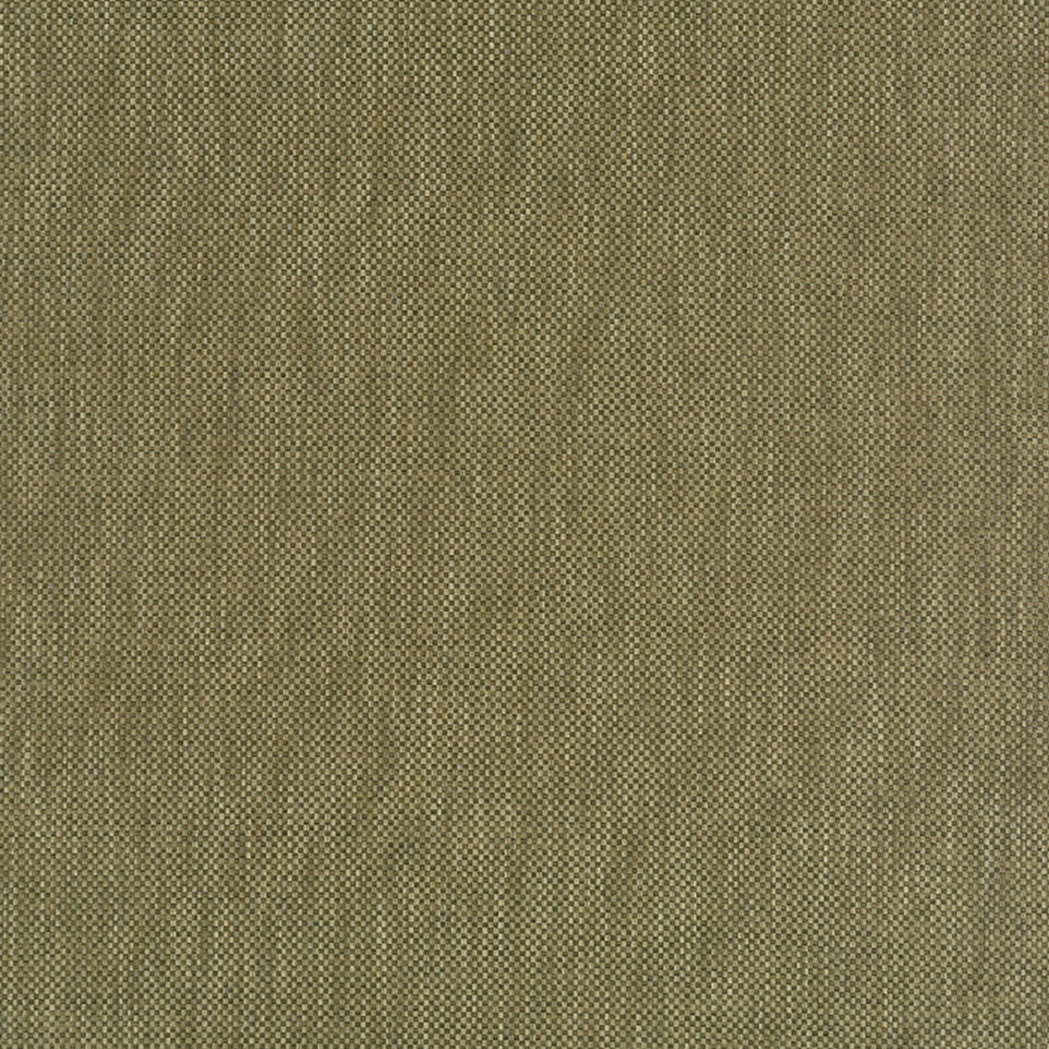 Wanoka | Moss