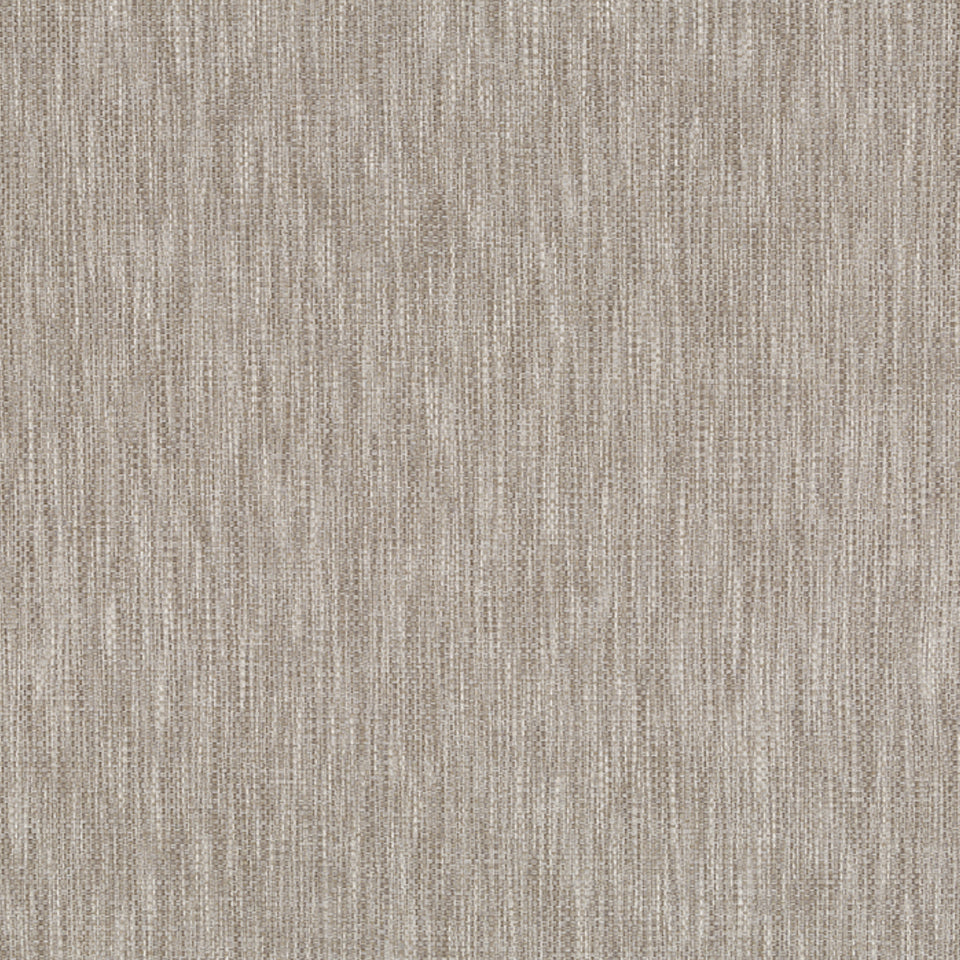 Wanoka | Driftwood
