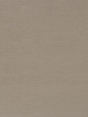 CHENILLE LUXE | DRIFTWOOD - Upholstery - Fabric