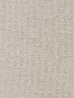 CHENILLE LUXE | OYSTER