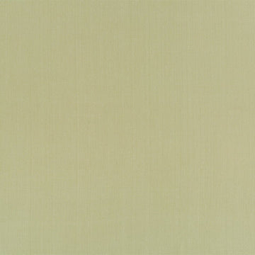 SWAGGER | LETTUCE - Multi-purpose