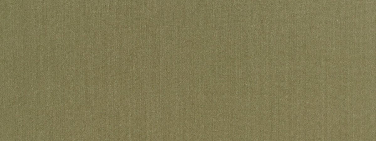 SWAGGER | OLIVE - Multi-purpose