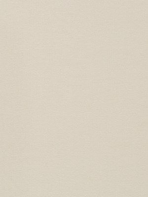 WILD CHENILLE | CREAM - Upholstery - Fabric