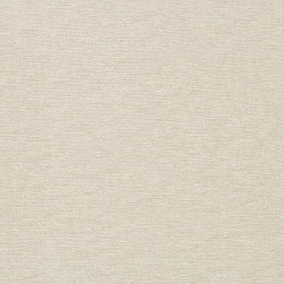 WILD CHENILLE | CREAM