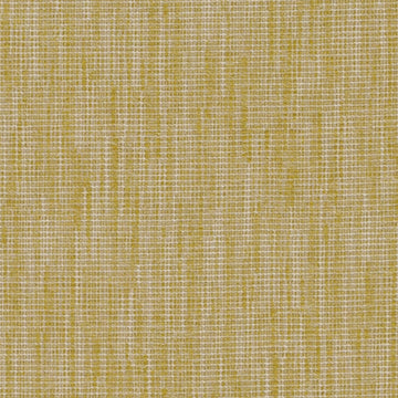 DN16380 | 677-CITRON