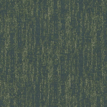 DN16377 | 23-PEACOCK