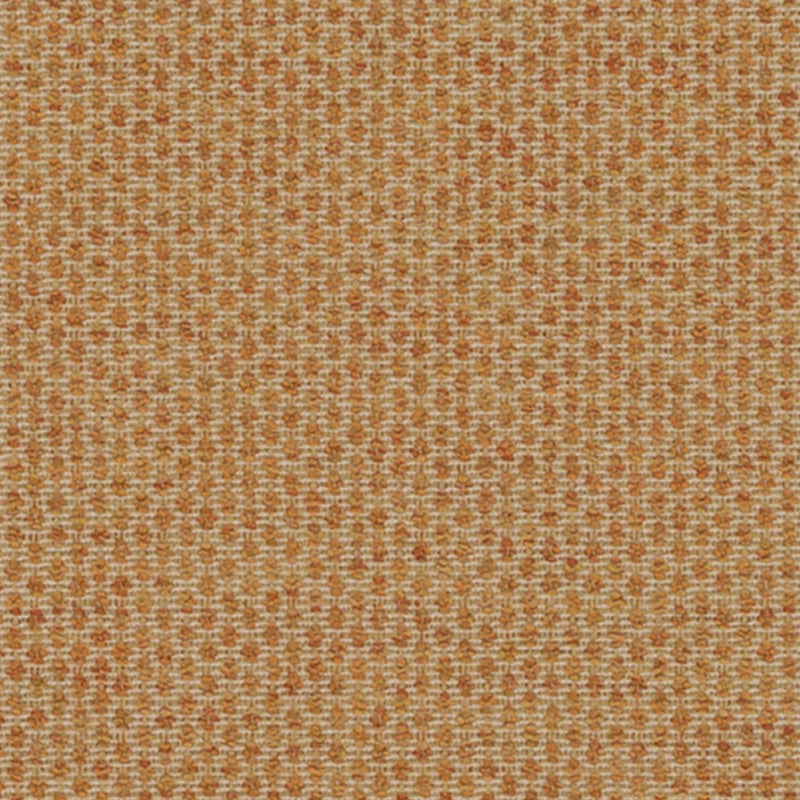 DN16381 | 231-APRICOT