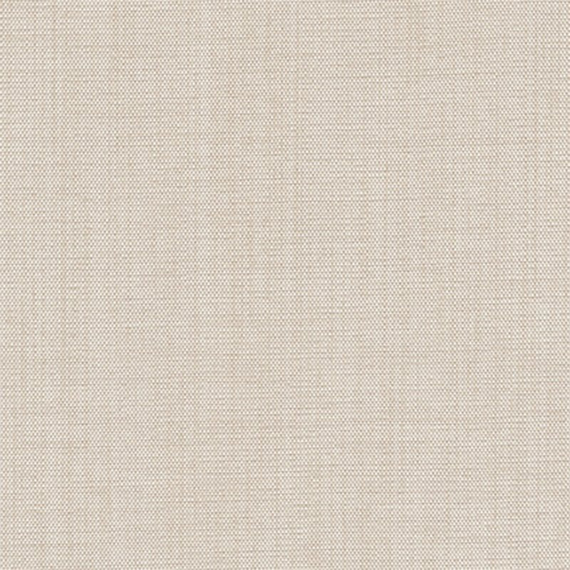 ANIWA BLACKOUT | IVORY