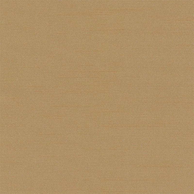 TENMARU BLKOUT | FLAX - Drapery - Fabric