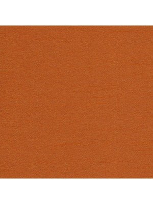 TENMARU BLKOUT | TANGERINE - Drapery - Fabric