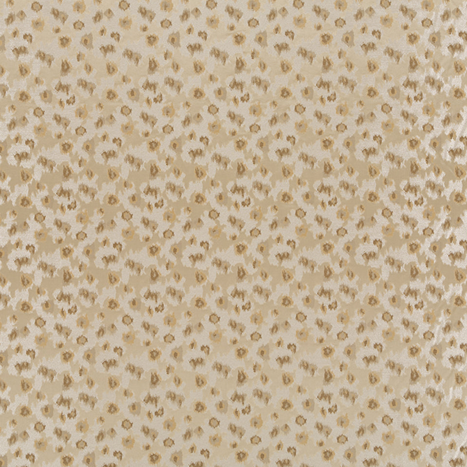 GATTARA | HONEY