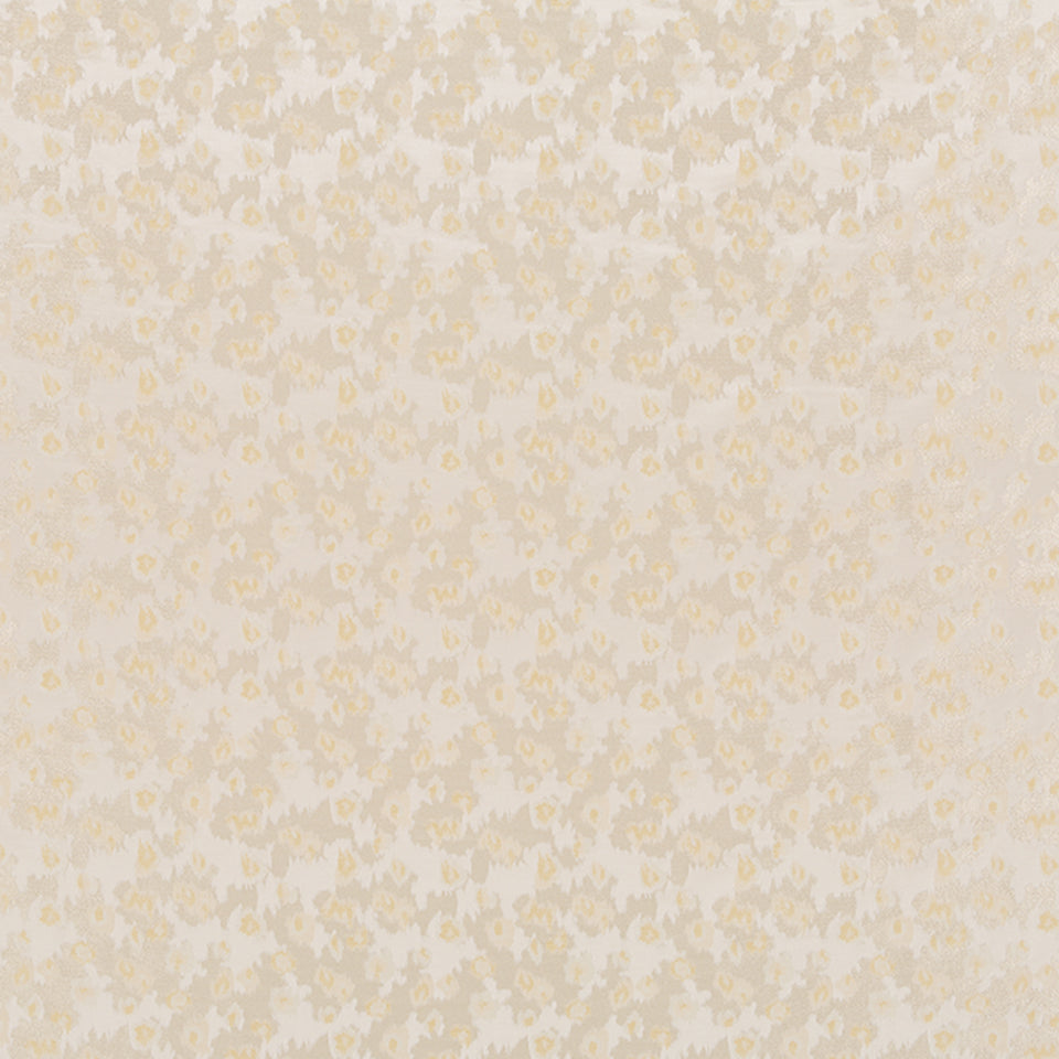 GATTARA | TRAVERTINE
