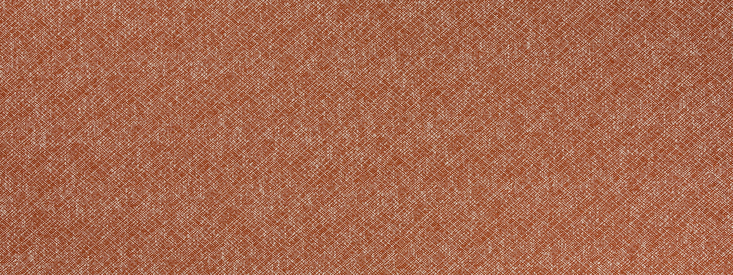 BACKBONE | TERRACOTTA