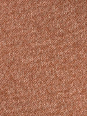 BACKBONE | TERRACOTTA