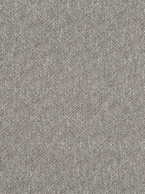 BACKBONE | STONE