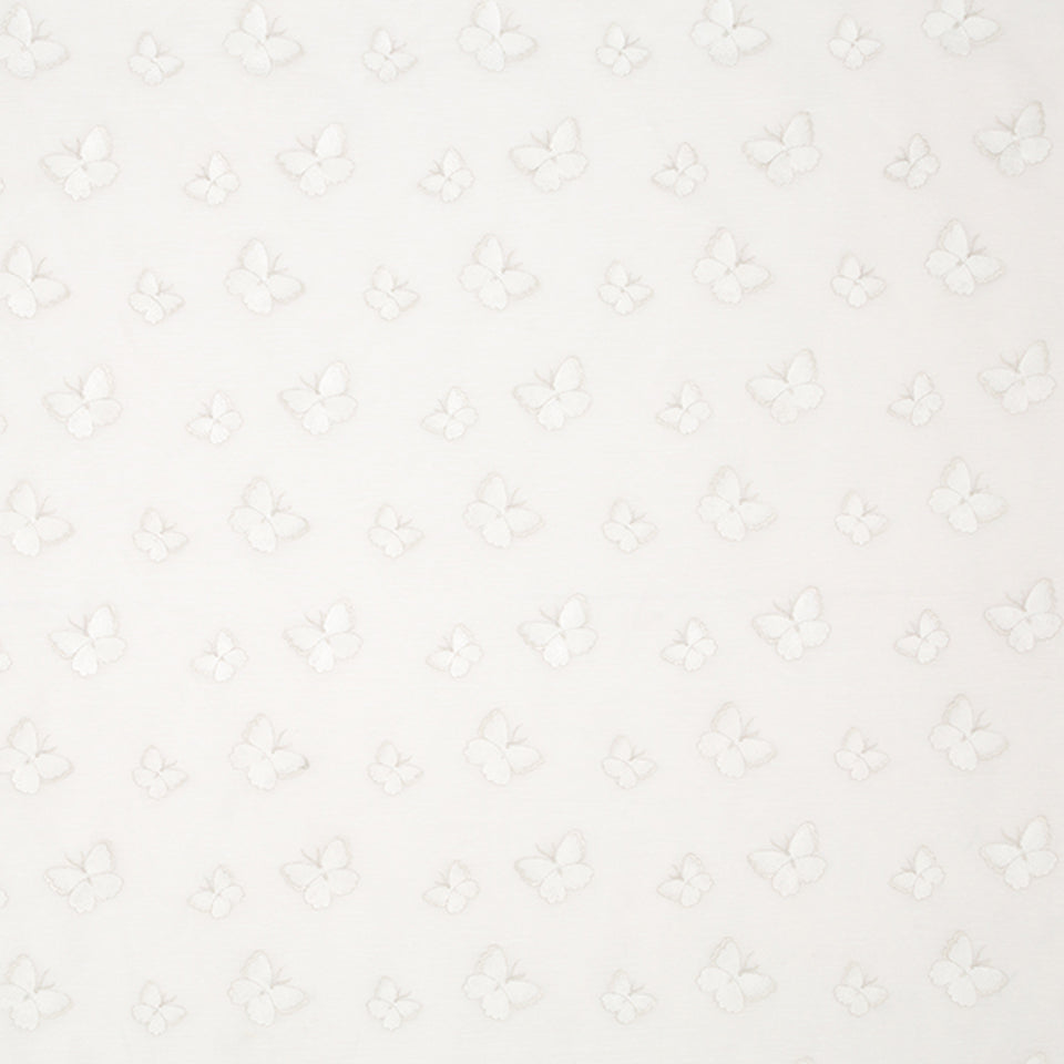 FLITTING ABOUT | IVORY