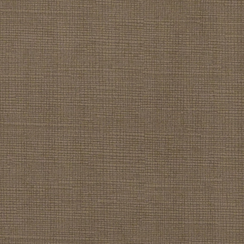 DN16375 | 194-TOFFEE