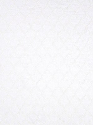 LEAF LATTICE | GLACIER - Drapery - Fabric
