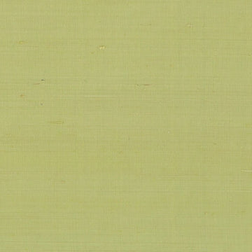 DR61789 | 609-WASABI - Drapery - Fabric