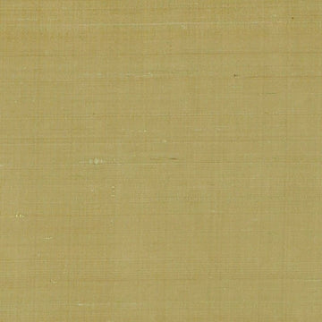 DR61789 | 343-CACTUS - Drapery - Fabric