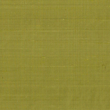 DR61789 | 21-AVOCADO - Drapery - Fabric