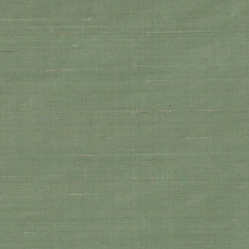 DR61789 | 597-GRASS - Drapery - Fabric