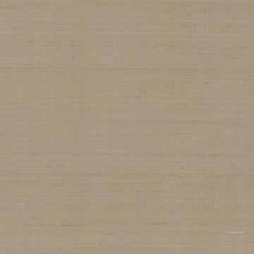 DR61789 | 160-MUSHROOM - Drapery - Fabric
