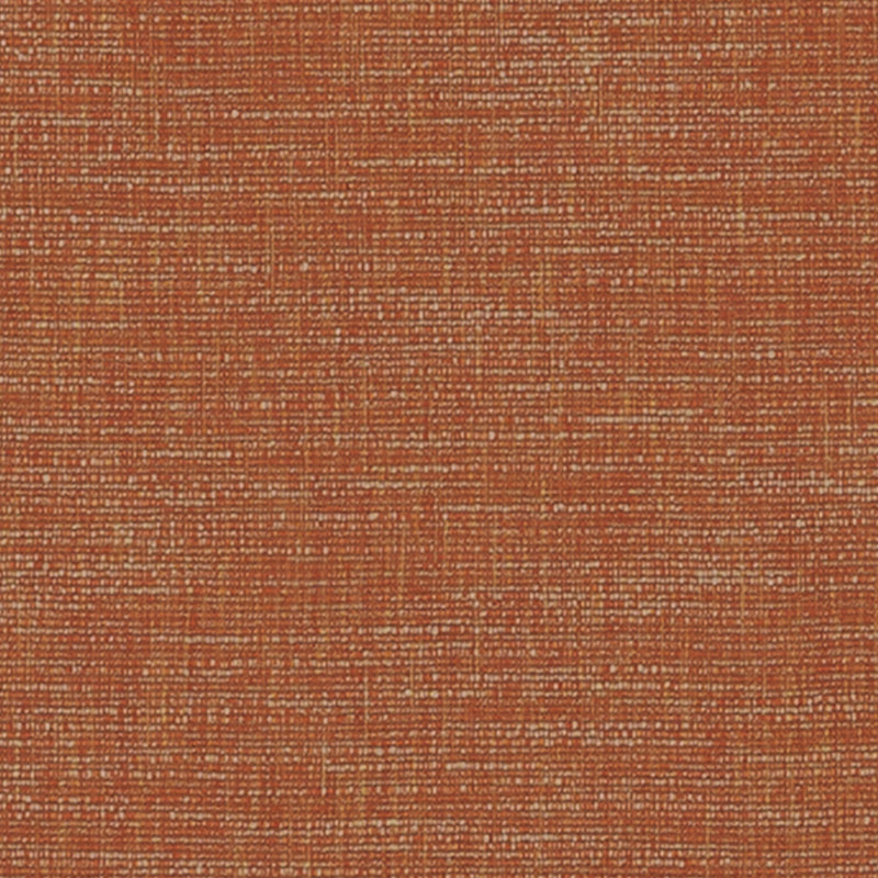 DK61836 | 34-PUMPKIN