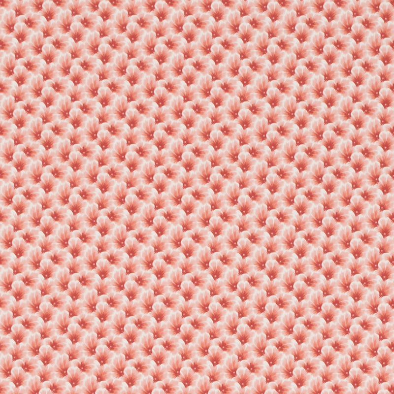 DE42667 | 31-CORAL