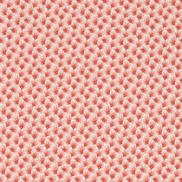 DE42667 | 31-CORAL