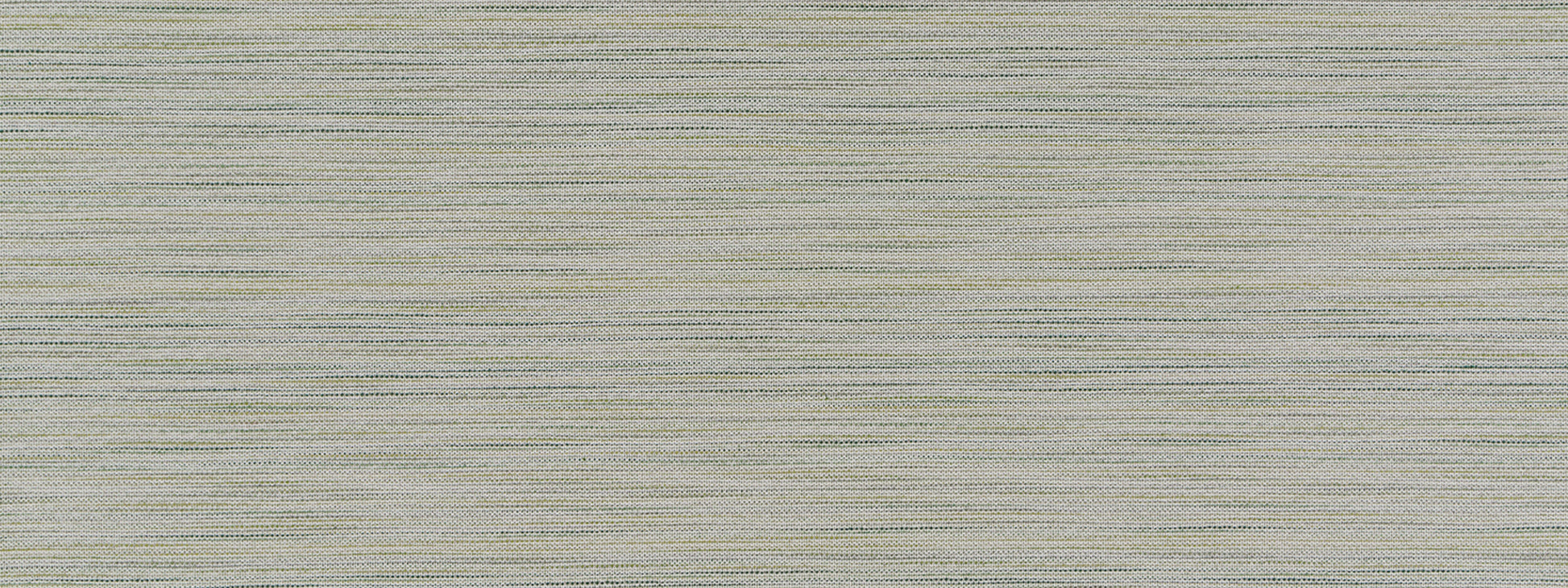 Polson | Fern
