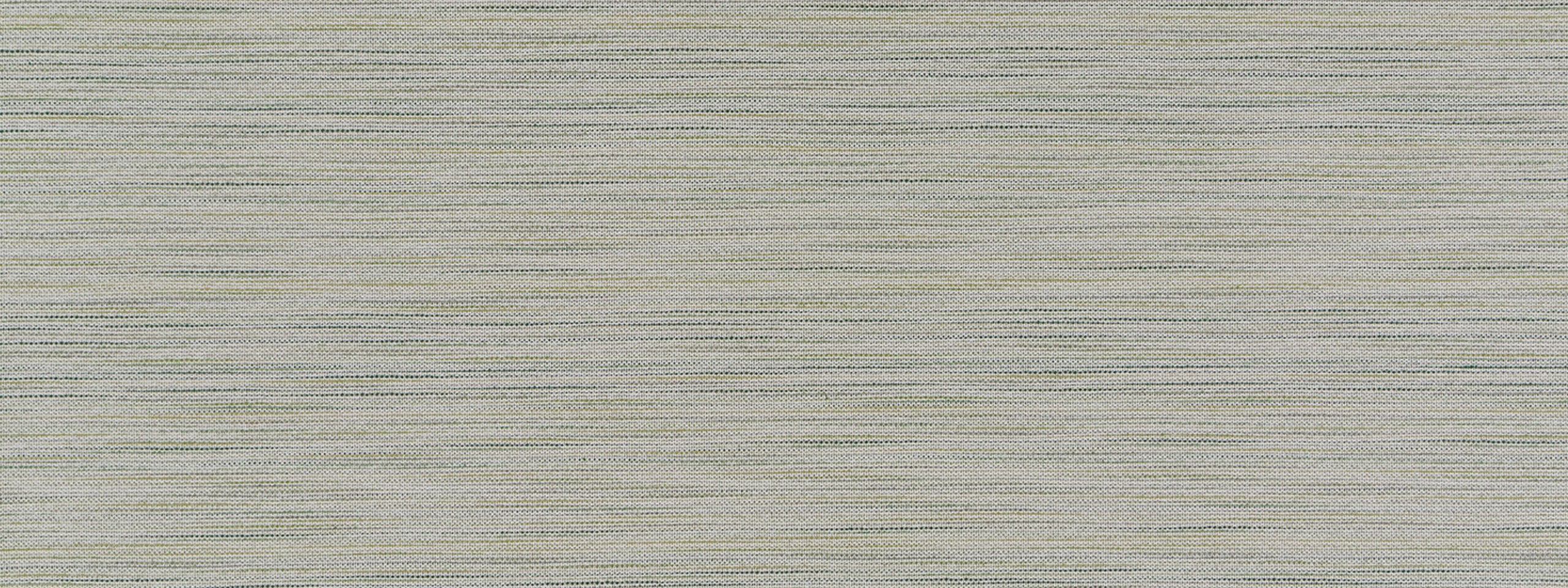 Polson | Fern