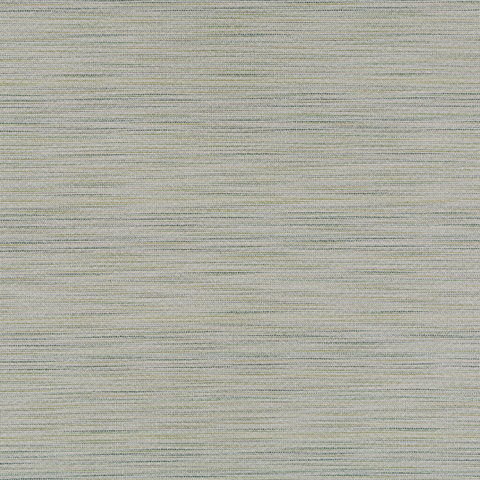 Polson | Fern